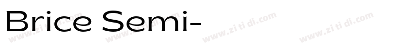 Brice Semi字体转换